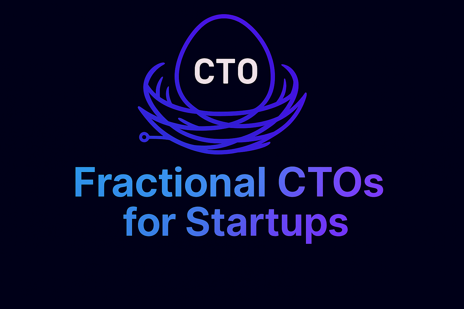 CTOnest: A curated nest of fractional CTOs for ambitious startups
